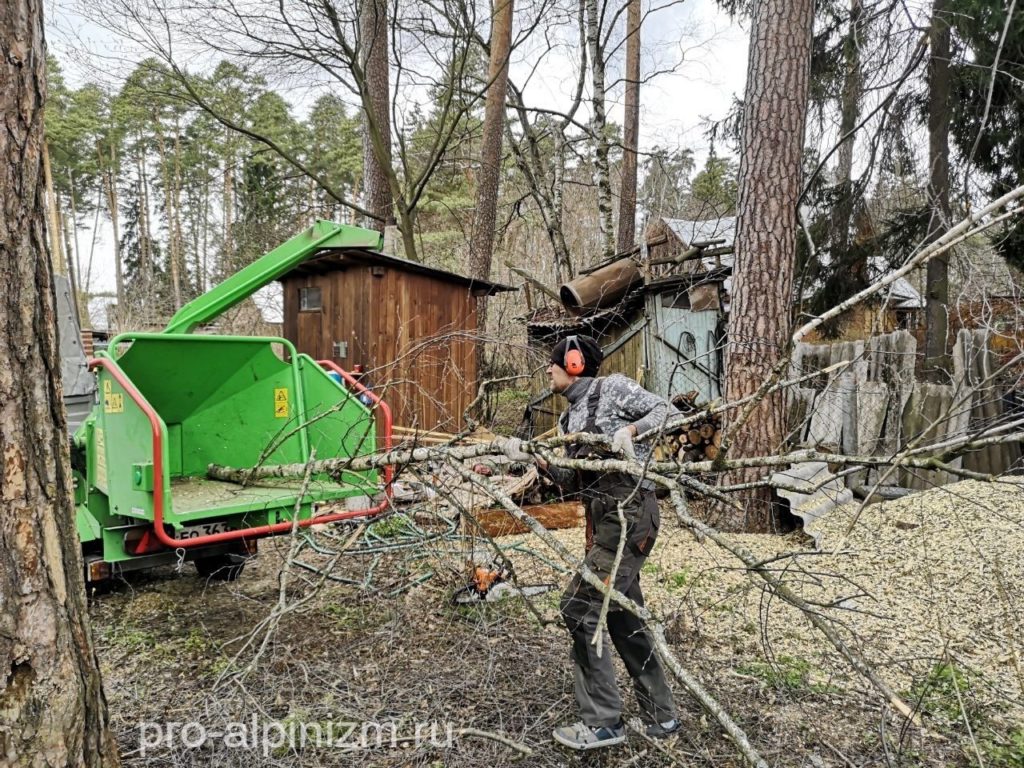 Удаление деревьев в Люберцах
