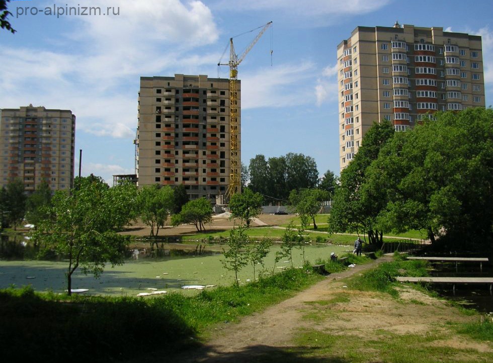 Вырубка деревьев, Щелковский район, поселок Свердловский