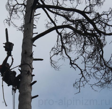 Удаление деревьев в Дзержинском