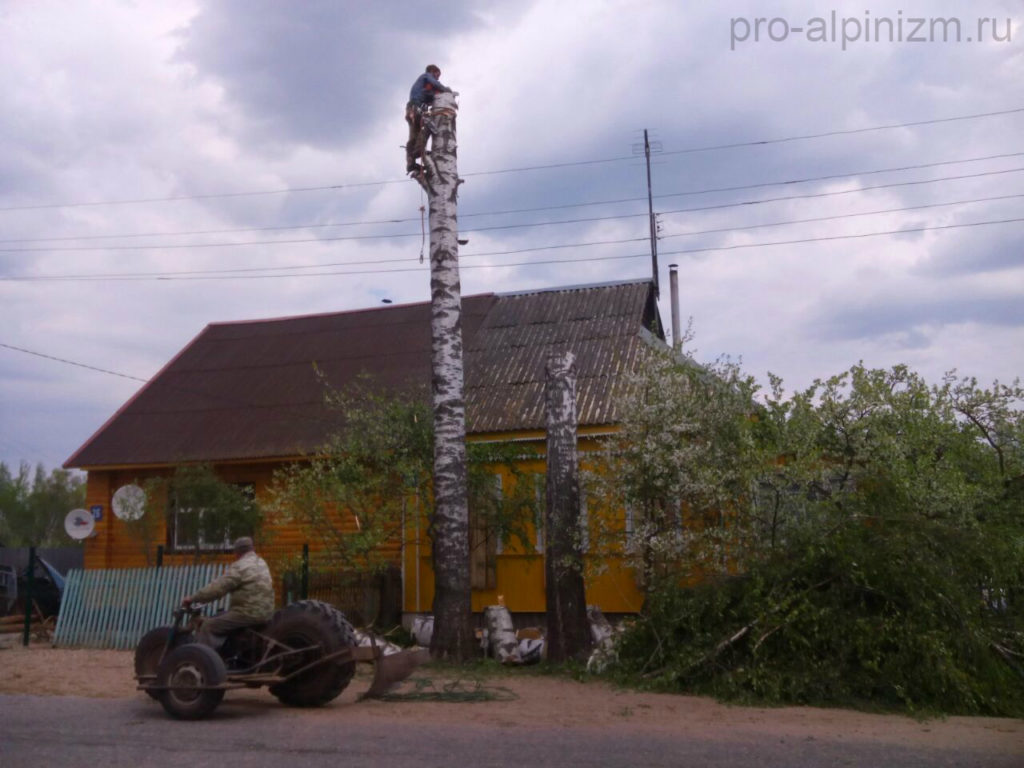Удаление деревьев, Сергиево-Посадский район, город Хотьково