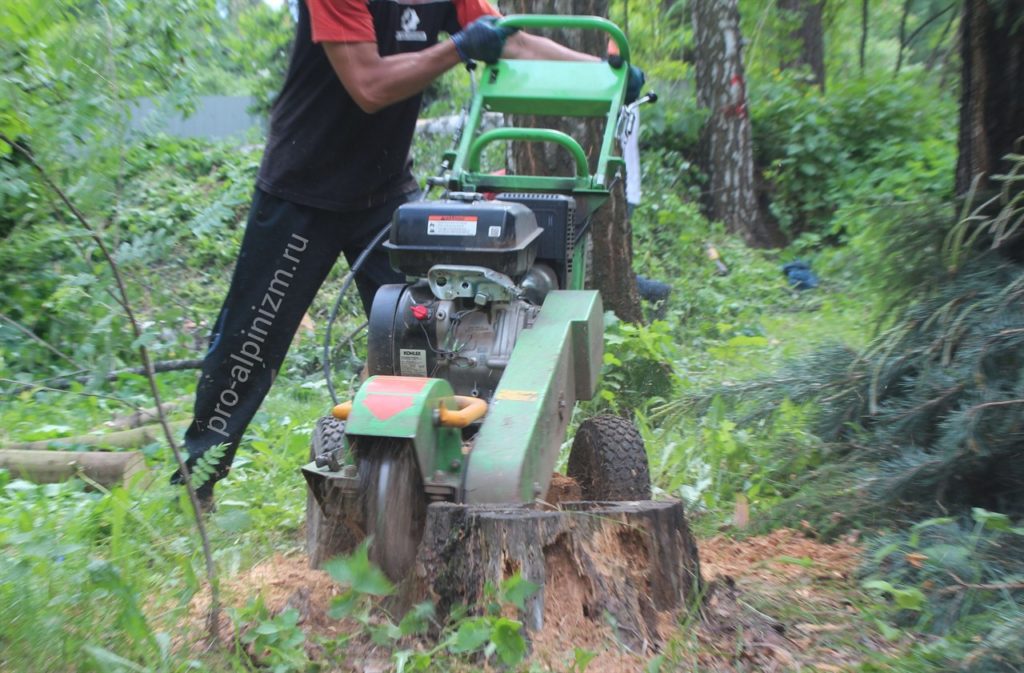 Удаление пней деревьев в Химках