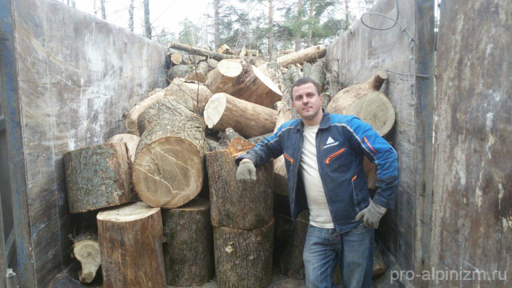 Спиливание деревьев, Сергиево-Посадский район, город Пересвет